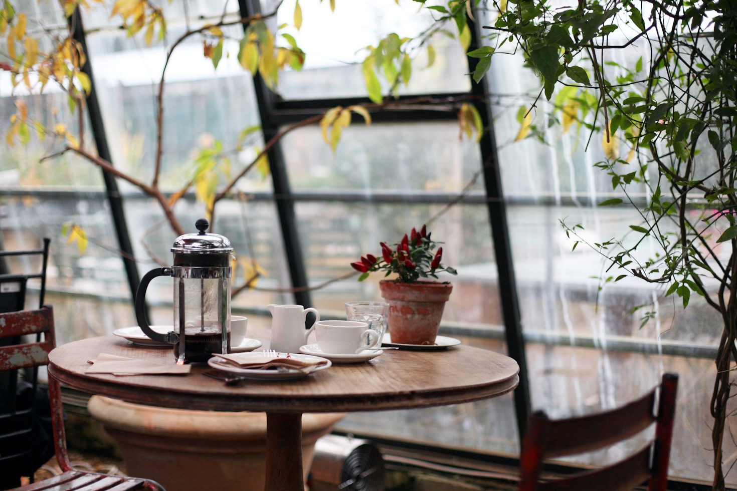 Cómo Malcydos redefine la experiencia de cafetería moderna